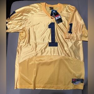 NWT Vintage Michigan Wolverines Jersey Mens Large Jersey Yellow Blue